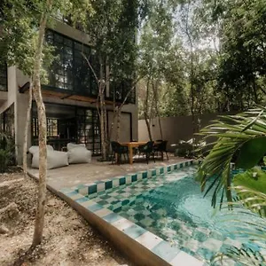 Casa Pala Designer La Veleta Jungle Hébergement de vacances